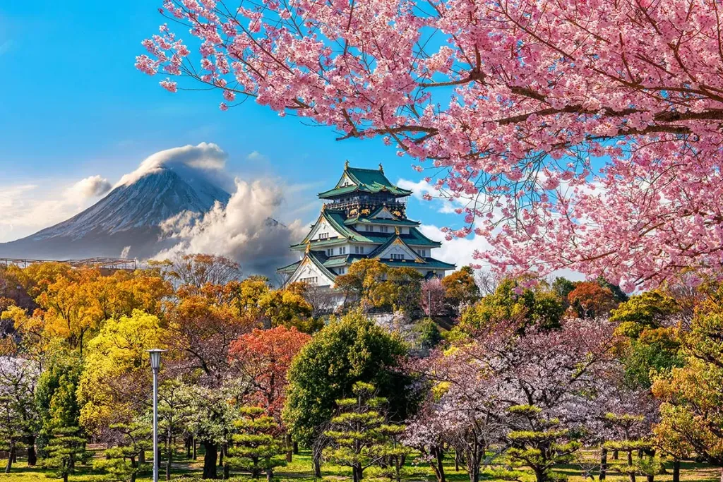 [MMTA-30025] Japón 9 días (MMTA-30025)