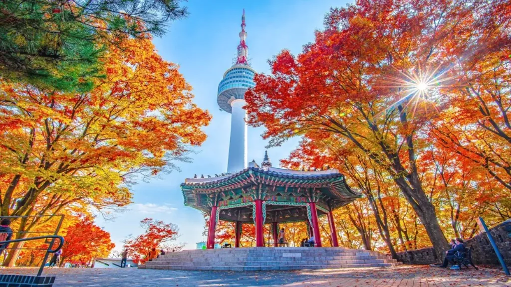 [MMTA-30202] Japón y Corea del Sur 15 días (MMTA-30202)