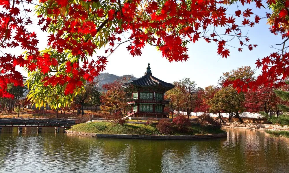 Japón y Corea del Sur 17 días (MMTA-30224)